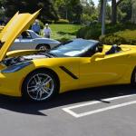 AAACarshow_0029 (June 14, 2014)